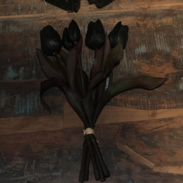 IMG_3402 Tulpen zwart