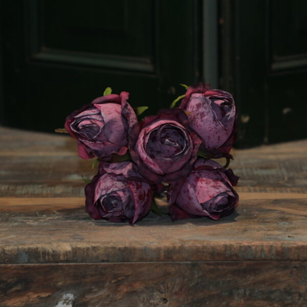 Rozen oud rood
