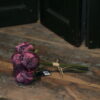 Rozen oud rood