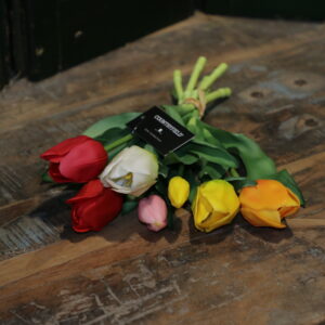 Tulpen gemengd oranje, geel, wit, roze & rood
