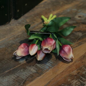 Tulpen donker fuchsia, crème gemêleerd